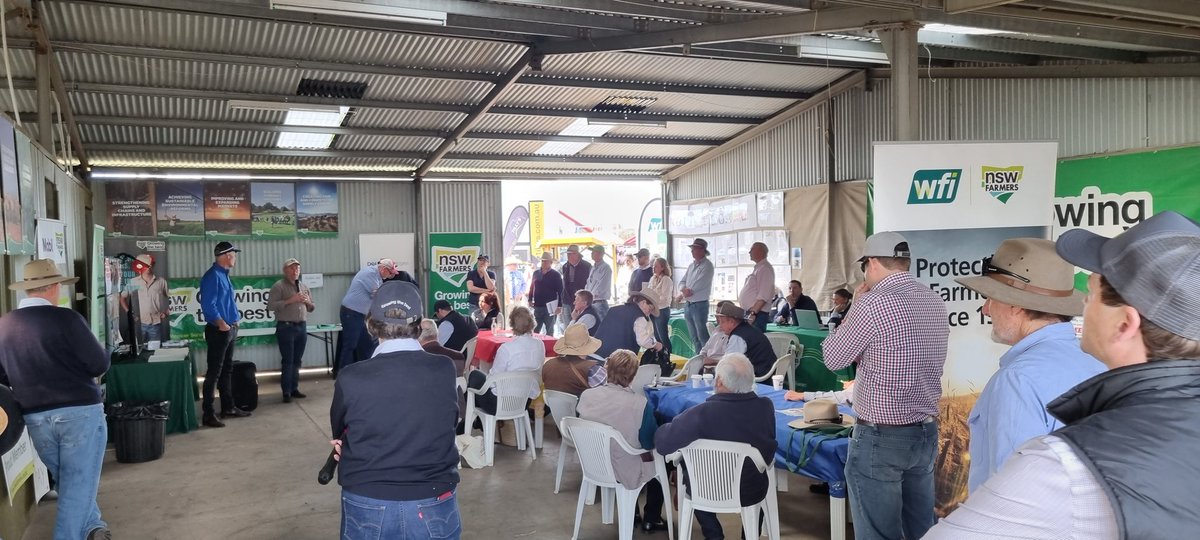 Michael Collins tweet media