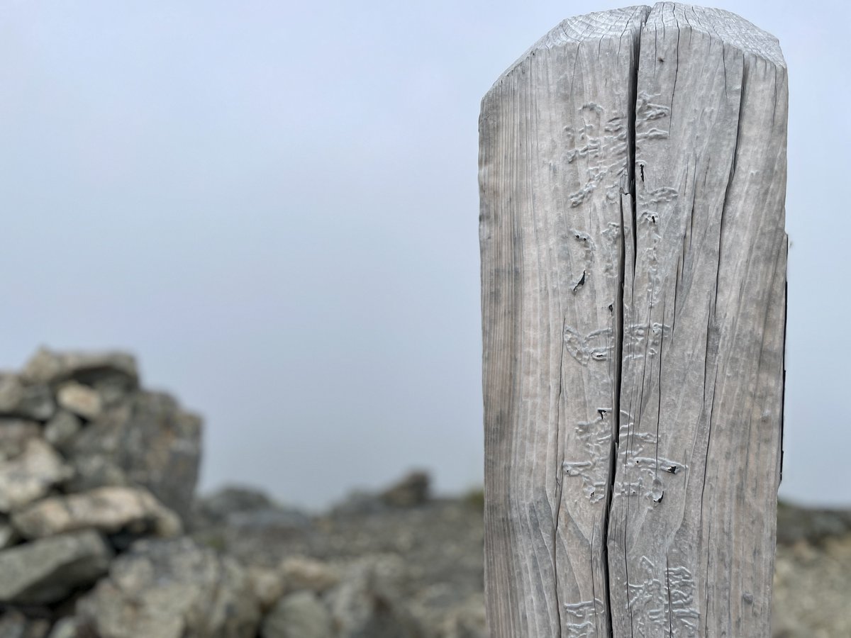 461a（シム tweet media