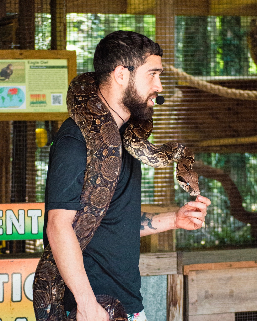 WildFlorida's tweet photo. Get a glimpse into the wild with our Exotic Animal Show, presented by the one and only #CrocSquad! ๐๐ Join us each day at 10:30 a.m., 12 p.m., 2:15 p.m., and 4 p.m. for this unforgettable experience. โ https://t.co/LxZ9Q0cyES