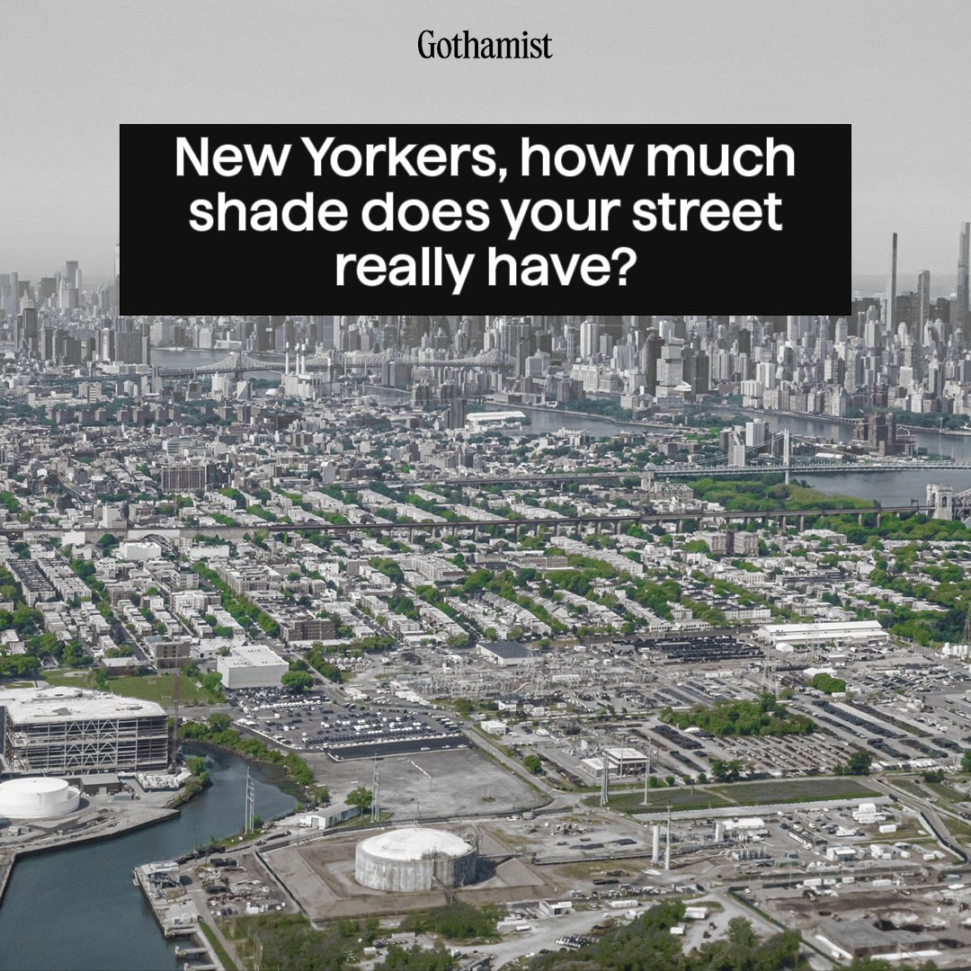 Gothamist's tweet image. A new Cornell study mapped and modeled the shade of every street tree in New York City — right down to leaf — for any day of the year. 

How much shade do you get? bit.ly/3QKGKrd