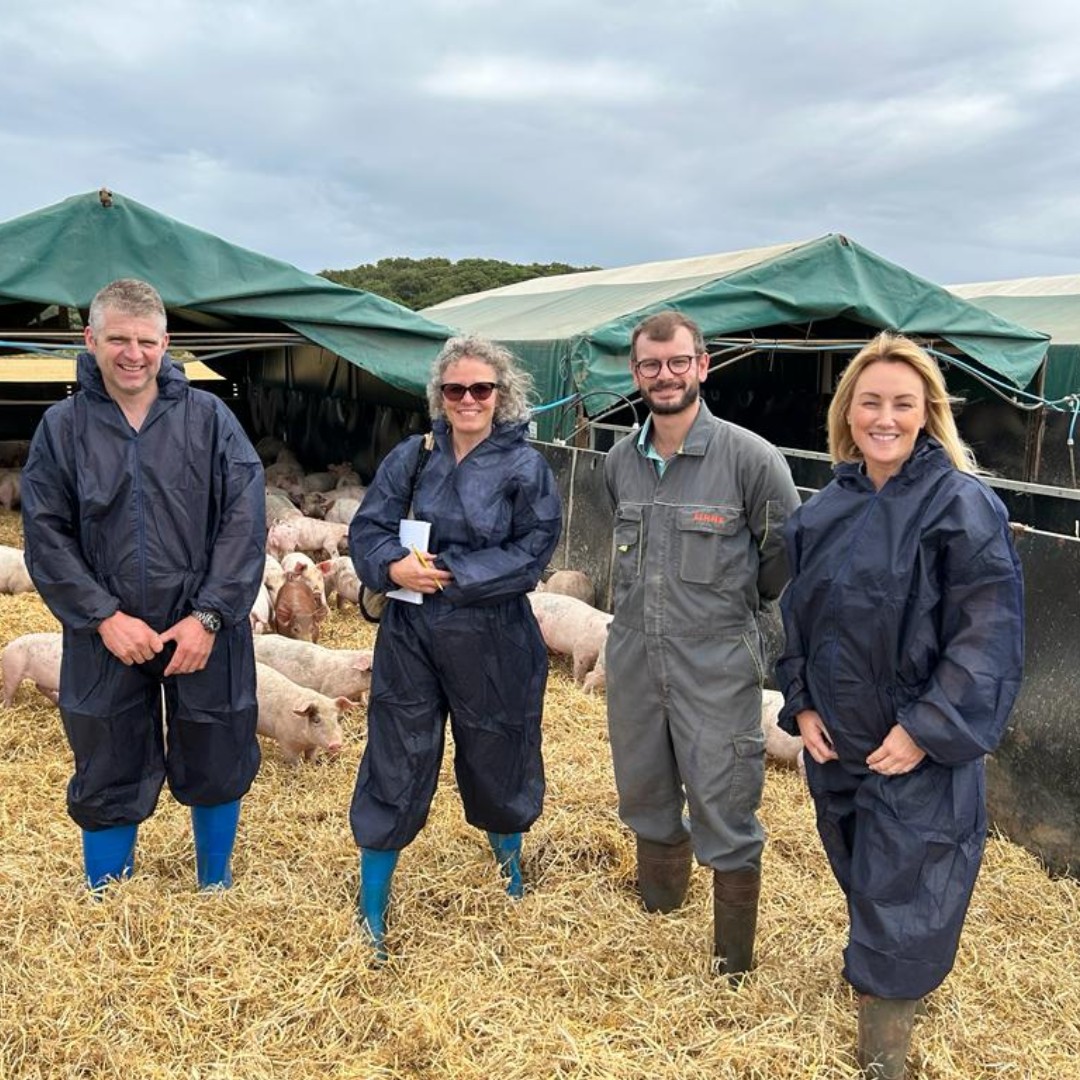 AgrovistaUK's tweet photo. Fascinating day witnessing the @FarmersWeekly Awards judging process recently at Pig Farmer of the year nominee - William de Feyter of Green Farm Livestock, East Ruston, Norfolk.
#ForOurGrowers #FarmersWeeklyAwards
@JodieChampion @judithtooth https://t.co/5UsJnE1fDZ