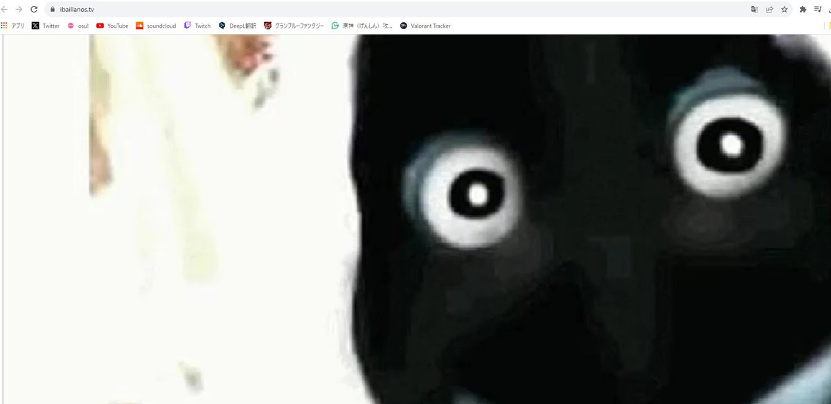 haga1115 tweet media