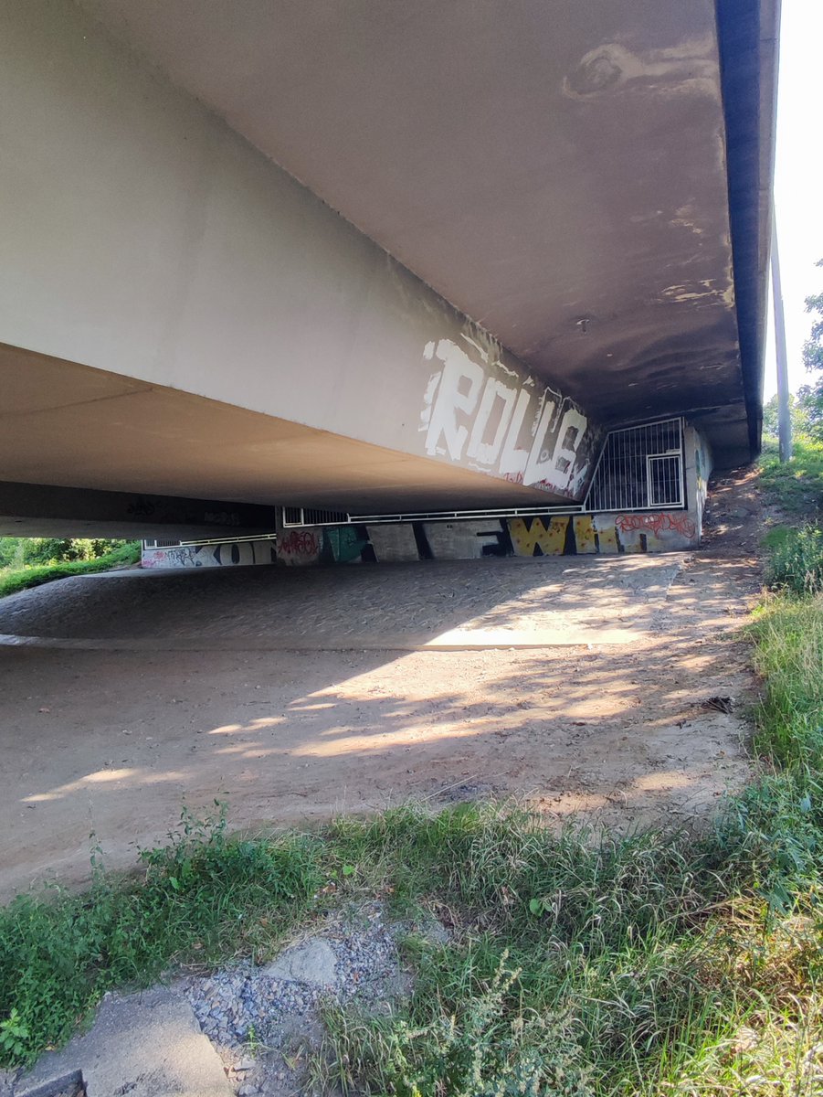 karin_wyxie tweet media