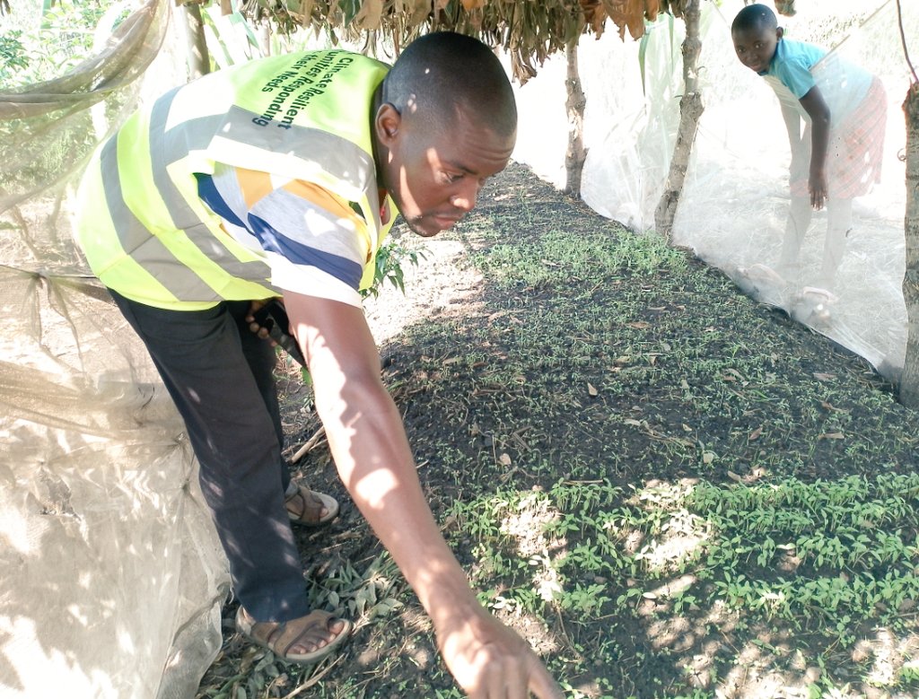 Maru_foundation's tweet photo. Checking on one of our women group's #seedbeds where a variety of vegetables have been planted, getting ready for transplanting.

We are localizing food systems where every household should have fresh foods including vegetables to feed on &amp; sell the surplus for income generation. https://t.co/YlkWc3lqve