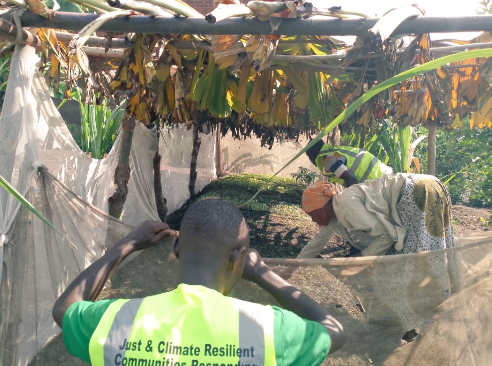 Maru_foundation's tweet photo. Checking on one of our women group's #seedbeds where a variety of vegetables have been planted, getting ready for transplanting.

We are localizing food systems where every household should have fresh foods including vegetables to feed on &amp; sell the surplus for income generation. https://t.co/YlkWc3lqve