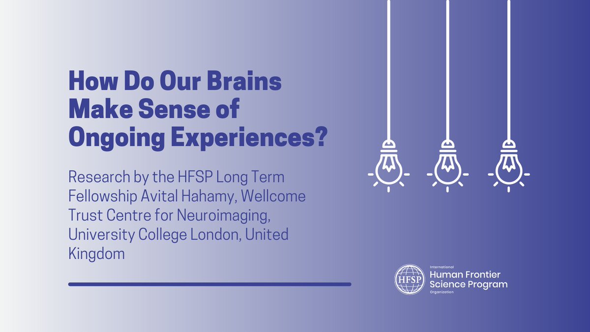 A groundbreaking study by the #HFSPAwardee @AvitalHahamy reveals how our brain forms meaningful connections to understand the world around us!🌟Read more: bit.ly/3ONRSkI #basiclifesciences #neuroscience #brain #HFSPFellowships