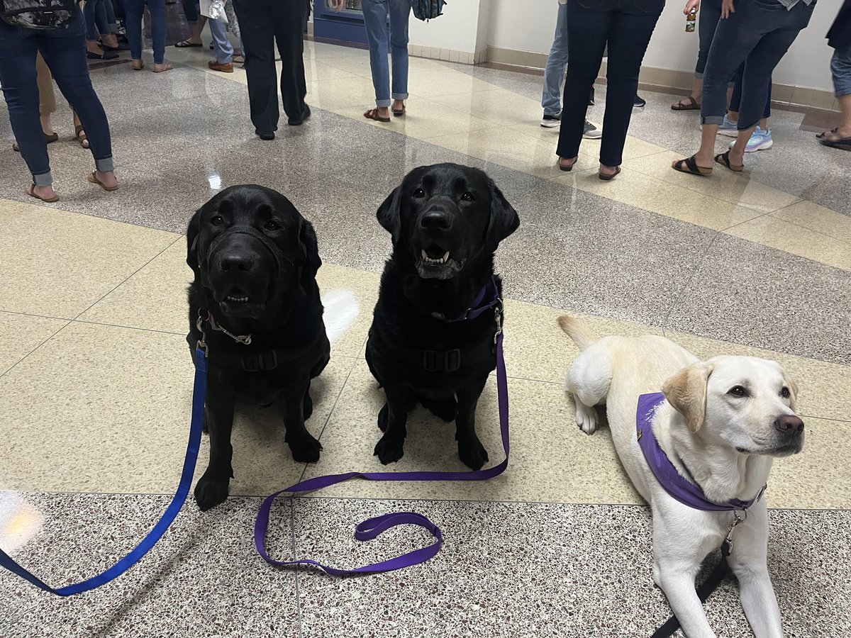 Welcome back Kolben, Murphy and Remi. Looking forward to another awesome year supporting our faculty, staff, and students!