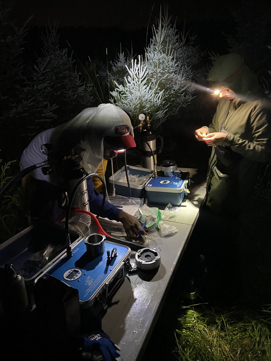 Emilie.isasa tweet media