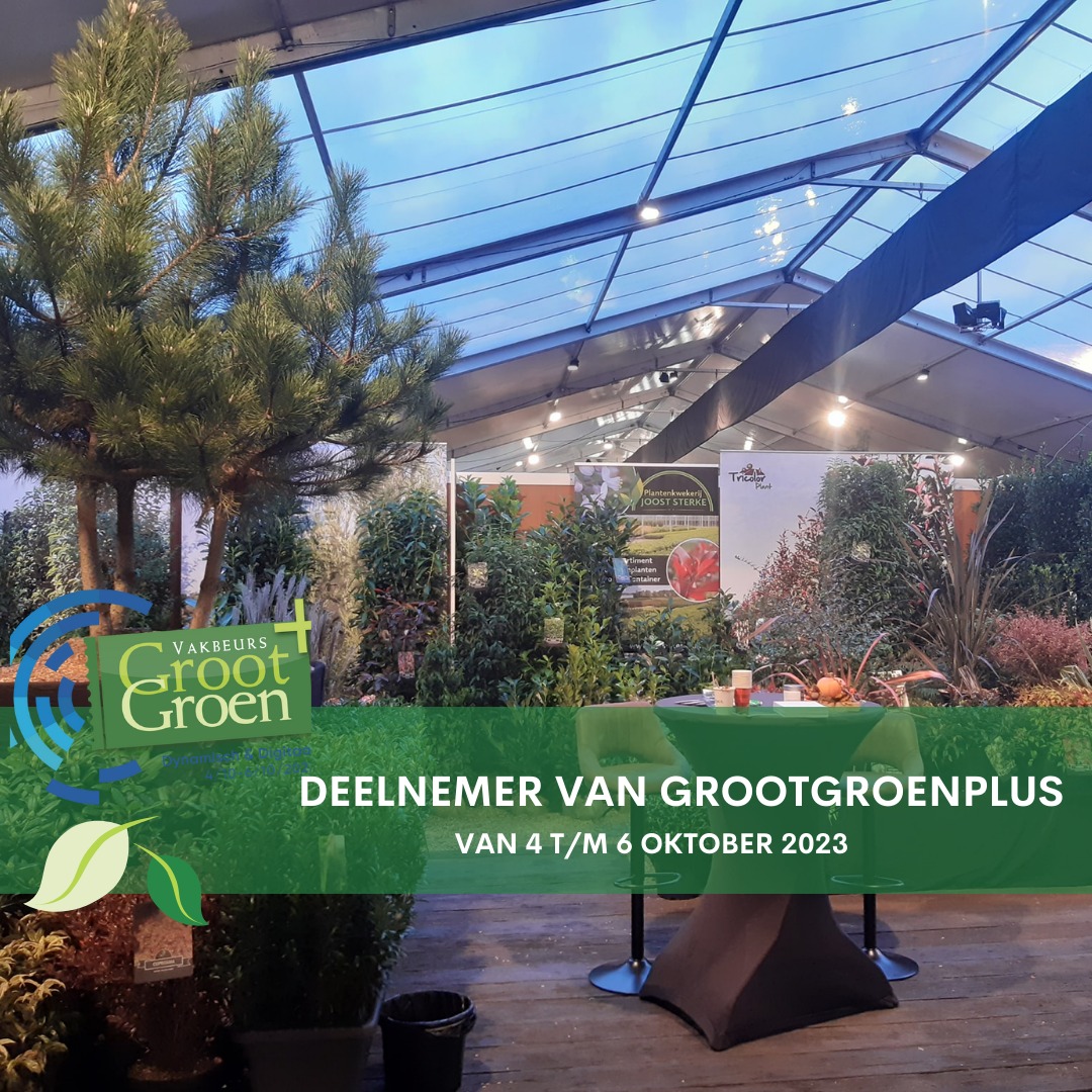 grootgroenplus's tweet photo. Plantenkwekerij Joost Sterke, neemt deel aan vakbeurs GrootGroenPlus 2023 in Zundert! 📷📷
Meer info? 📷 https://t.co/TGODNxQOBV
#GrootGroenPlus #GGP #GrootGroen #plantenkwekerijjooststerke #Jooststerke #plantenkwekerij #haaren https://t.co/pWn5AxKji7