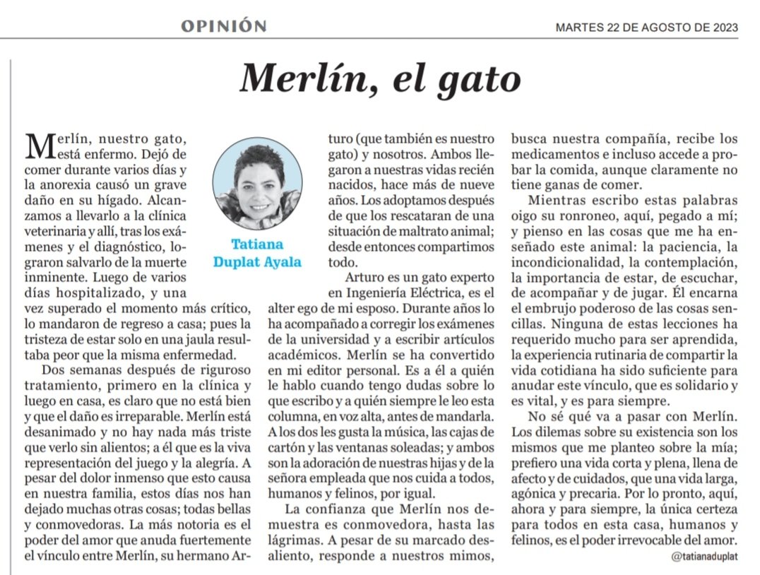 Tatiana Duplat Ayala tweet media