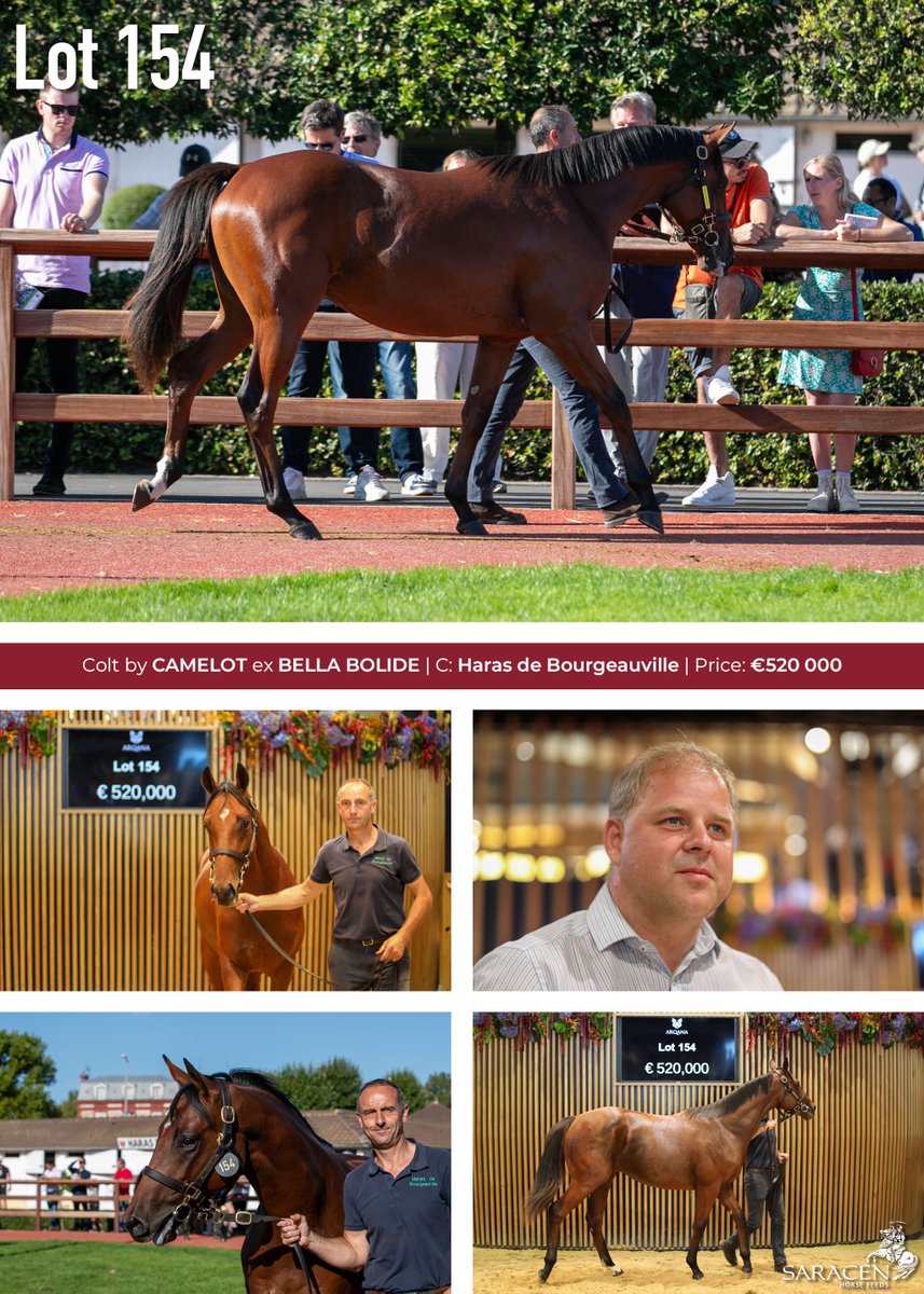 🇫🇷 Day 2 of the @InfoArqana August Sale saw some very nice results for our clients, including a record breaker for #HarasdeBourgeauville:

Lot 154: colt by @coolmorestud's CAMELOT x BELLA BOLIDE | Consignor: Haras de Bourgeauville | Price: €520,000 | Purchaser: @SackvilleDonald