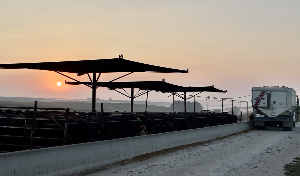 Joan Ruskamp tweet media