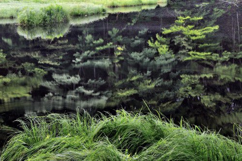 xdivisjon's tweet photo. Reflections. https://t.co/aRJnAQpLEf