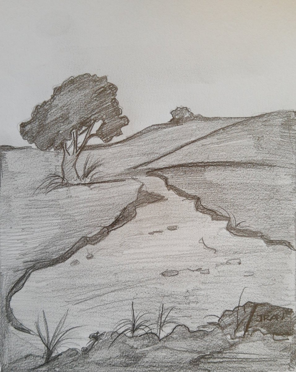 Iran Coelho Arts 🎨✏️ (@irancoelhoarts) on Twitter photo 