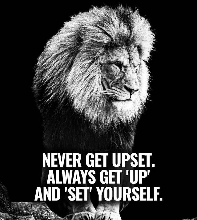 Sk_Soul10's tweet photo. motivational quotes 🥰link of our store for back to school products 👇🏻❤️:

https://t.co/aLHgFOSUAU 

#motivation #Sk_Soul_10 #motivationalquotes #motivação #motivacional #inspriation #inspirationalquotes #nevergiveup #success #sucesso #successquotes #fitness #FitnessMotivation https://t.co/jOIUQKUV1k