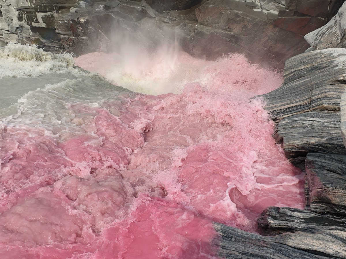 icegroup_unil's tweet photo. Chloe injecting rhodamine dye at the waterfall from #Leverett glacier and Faye holding the #fluorometer to measure water discharge from Leverett glacier for Marjoleins PhD project on sediment transport from the Greenland Ice Sheet 🧵(3/5) https://t.co/9q90B62KCm