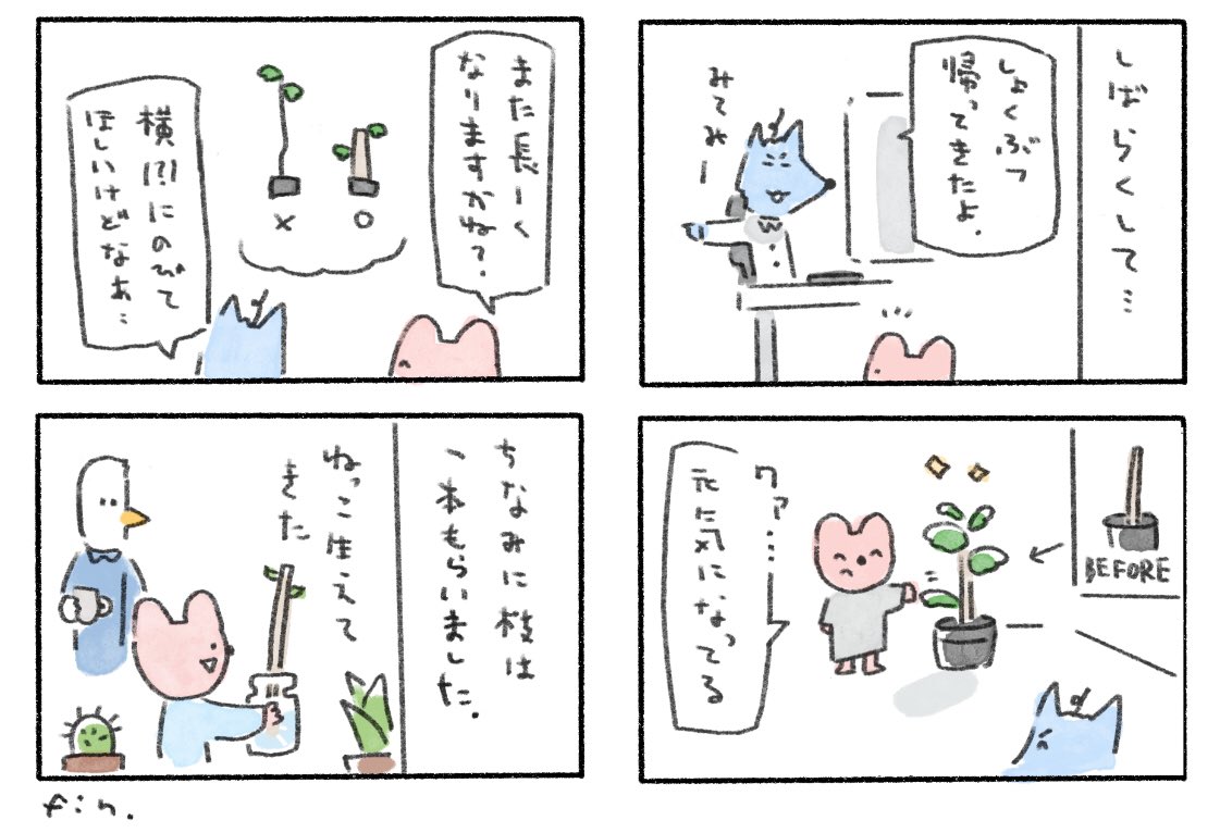 デザイン事務所小話🪴
植物は仕事場の癒しですね
#kuristudiomemo 