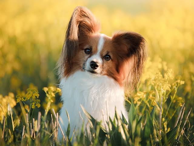 HansenFerm's tweet image. 