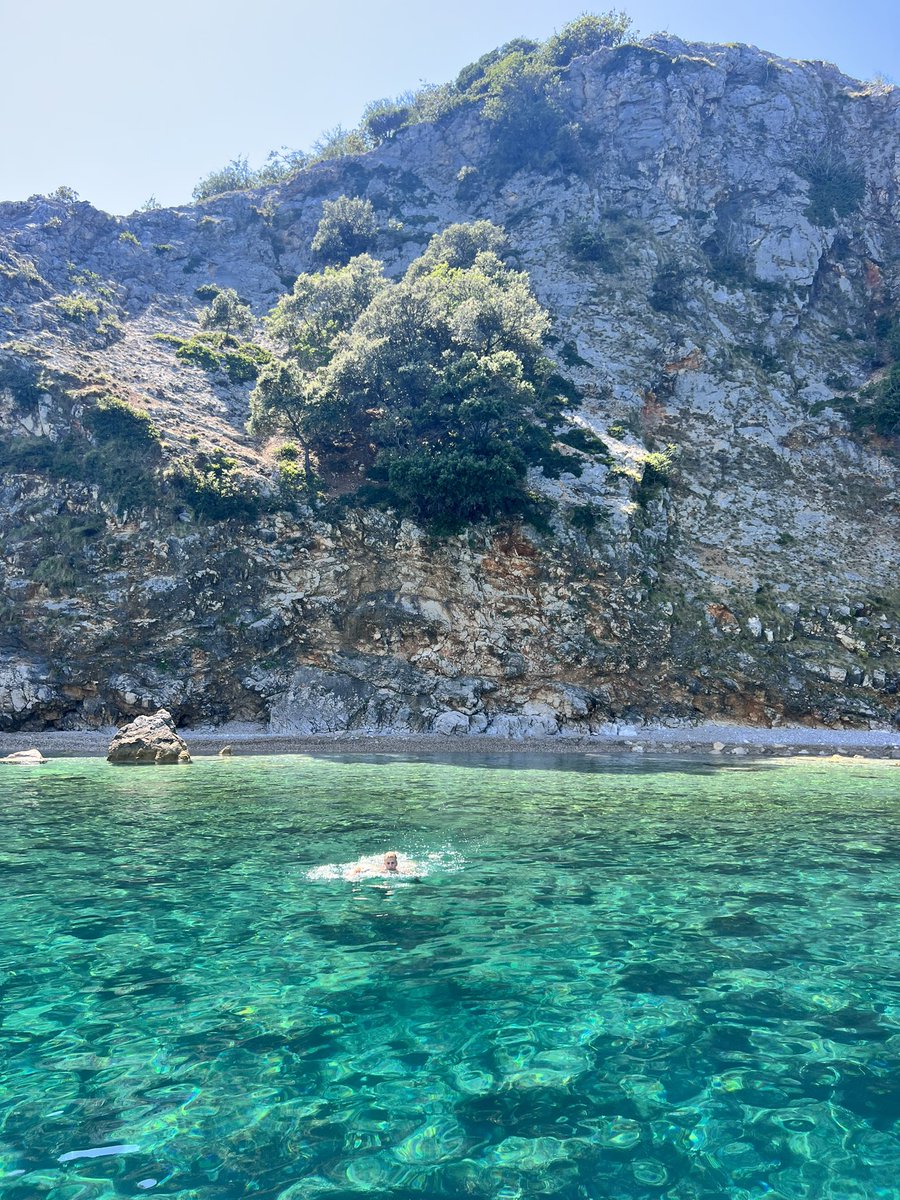 Dinko Eror tweet media