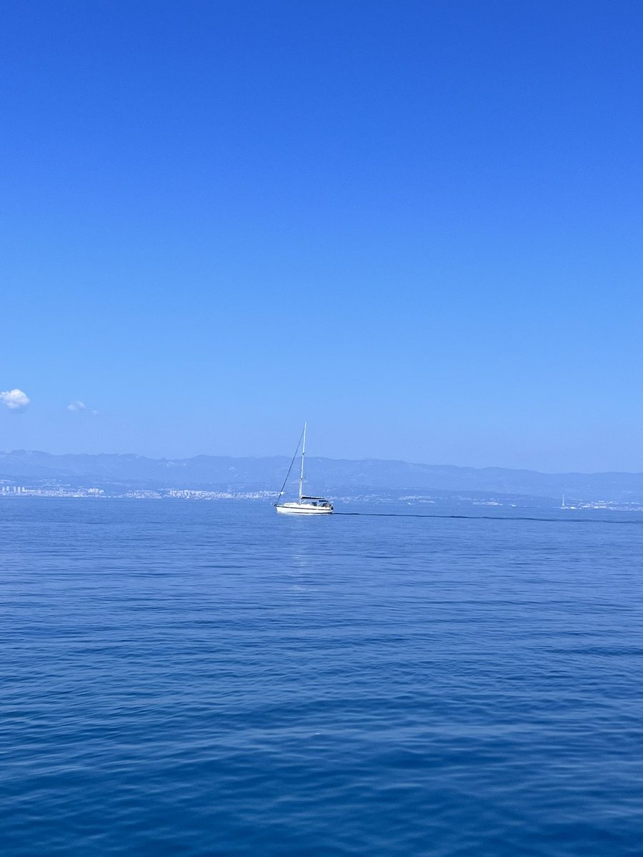 Dinko Eror tweet media