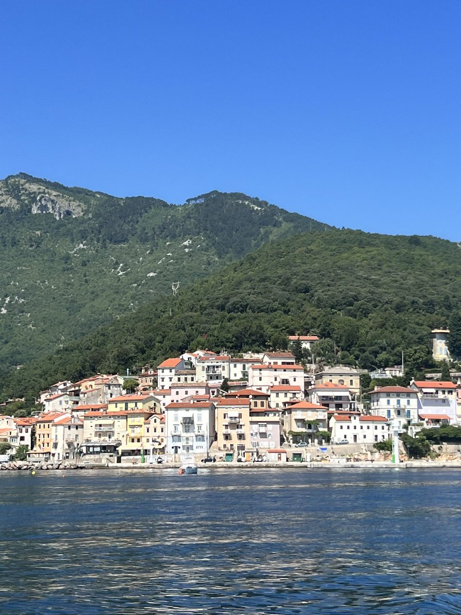 Dinko Eror tweet media