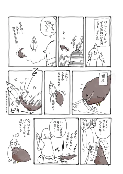 ヒメウズラのうずちゃん2

🦜のぬいぐるみのはなしです。かわいいです。
  #ヒメウズラ  #うずちゃん  #鳥漫画 