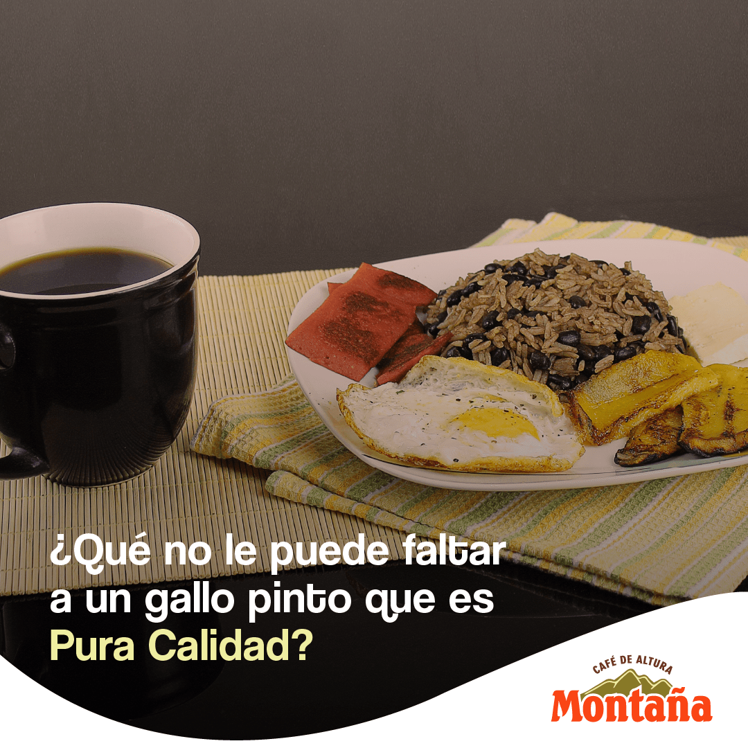 UnafutOficial's tweet photo. Cuando llega la hora del café, nos encanta compartir el sabor de Café Montaña con los compañeros del trabajo, con la familia o con amistades… ¿Quién te acompaña siempre a compartir el café que #EsPuraCalidad?
#Contanos
*Información de nuestros patrocinadores* https://t.co/acgRrvSWhy