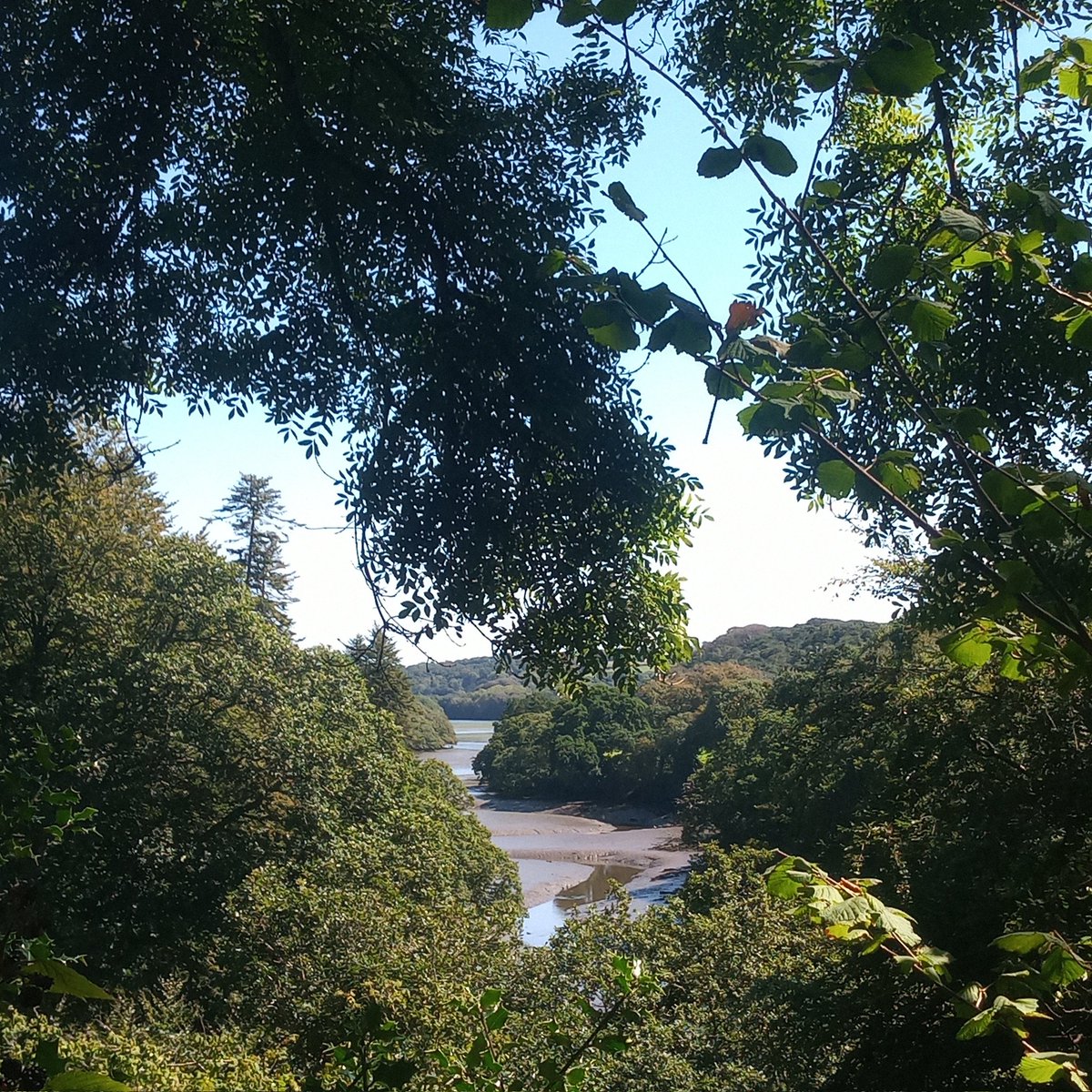 Naomi Tilley tweet media