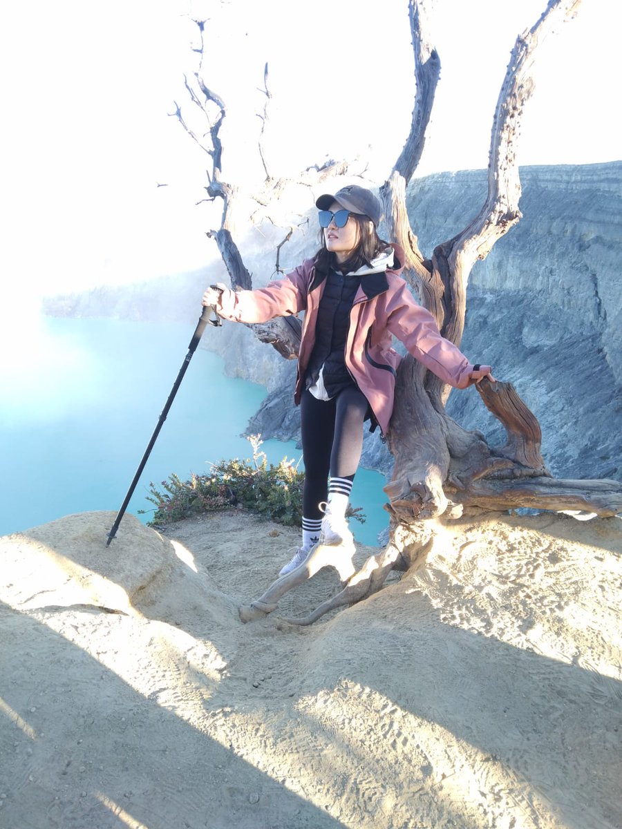 Maharanitrans tweet picture