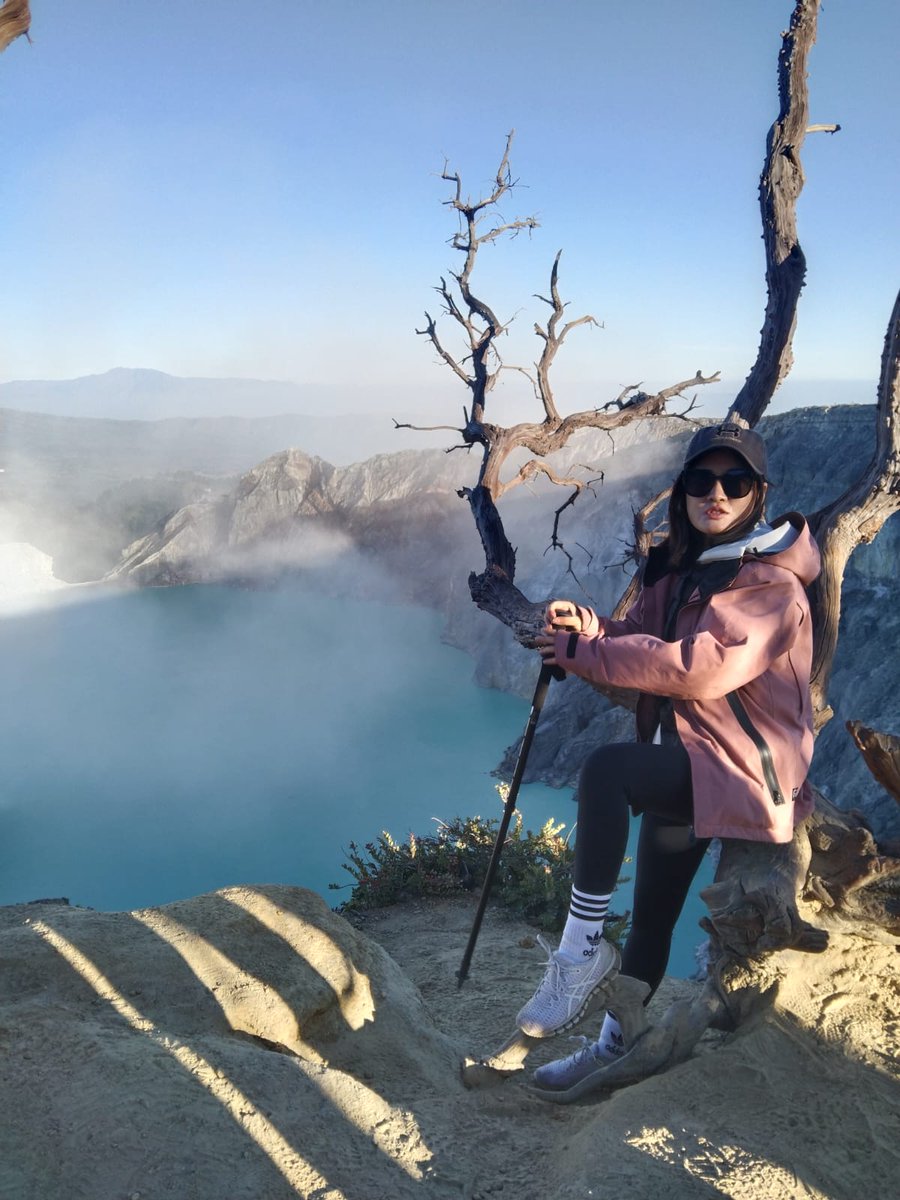 Maharanitrans tweet picture