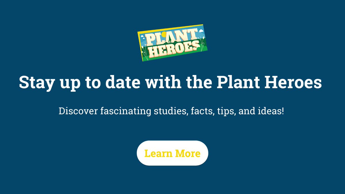PlantHeroes's tweet image. From fascinating plant studies to in-depth interviews with real-life Plant Heroes, our blog has you covered. Dig into the latest facts, tips, and ideas: ow.ly/Iyn150PBSYC #NatureTips #PlantFacts #NatureEducation