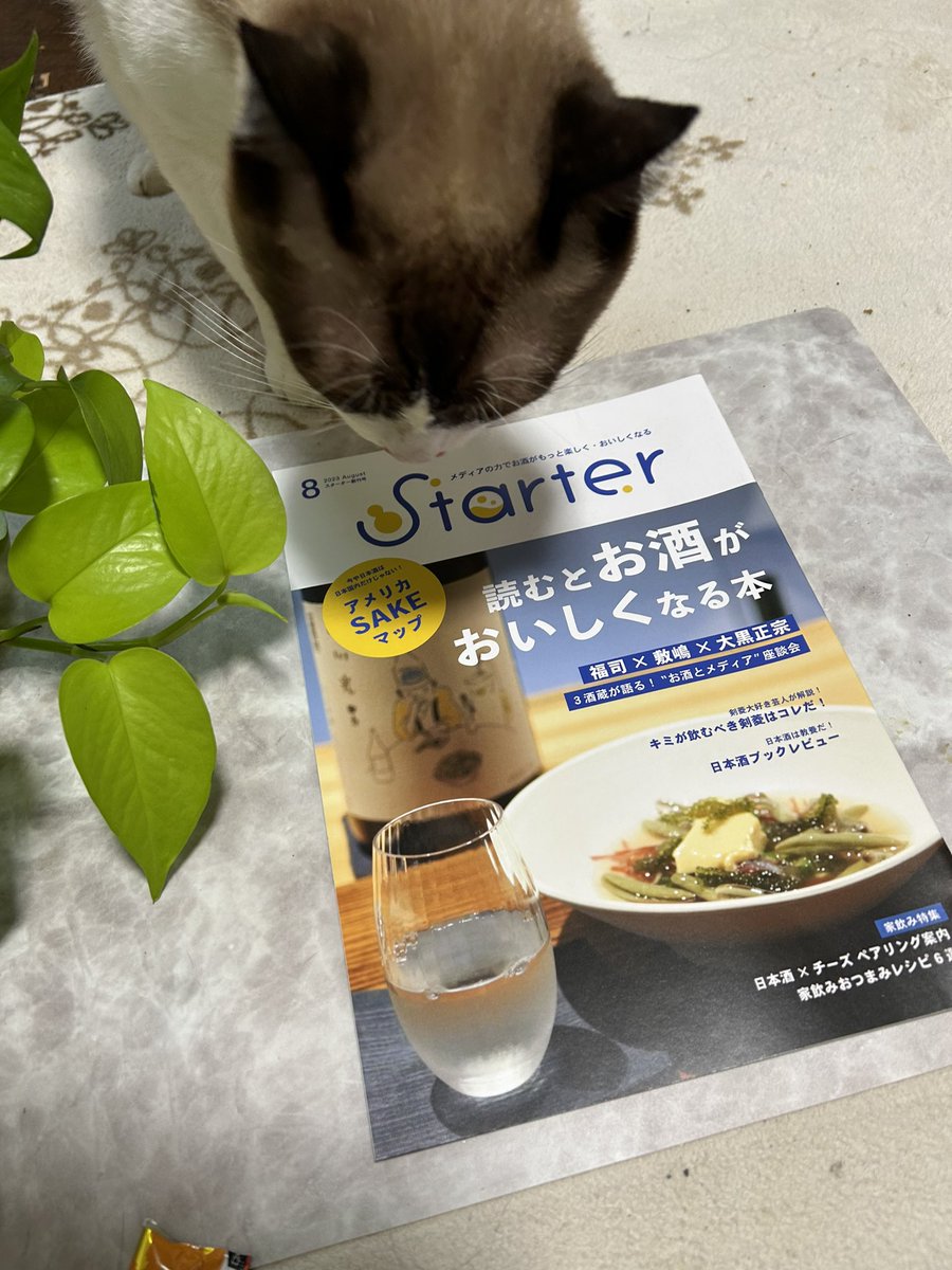 SakeMasako's tweet photo. 届いたー！
@StarterSalon 『読むとお酒がおいしくなる本』 
"酒粕"というお酒の副産物の視点から、書かせてもらいました🌟

内容が盛り沢山で、本当に読み応えがある本だなーと改めて...
コチラからも購入出来ますよ▼
https://t.co/8H3SVq8s03

#Starter https://t.co/LRtXTOlIob