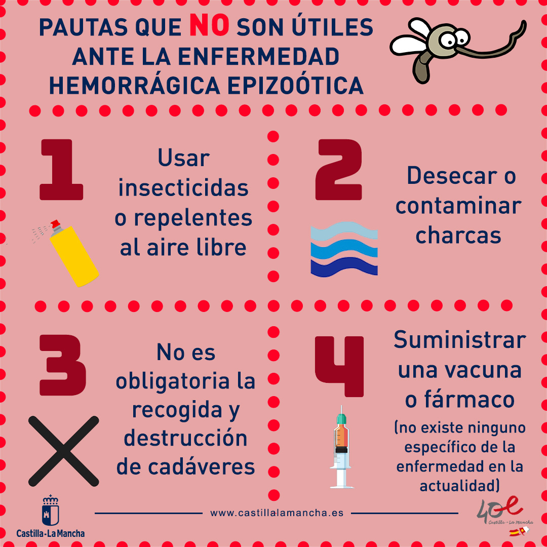 ‼ Recomendaciones ante la enfermedad hemorrágica epizoótica que está afectando a ciervos en #CLM.

⚠ Los animales muertos en campo NO deben consumirse porque el animal se muere por el virus y por la bacterias oportunistas.

Más ℹ en 👉🏼 acortar.link/iZtV7s

<a href="/DSostenibleCLM/">Desarrollo Sostenible CLM</a>