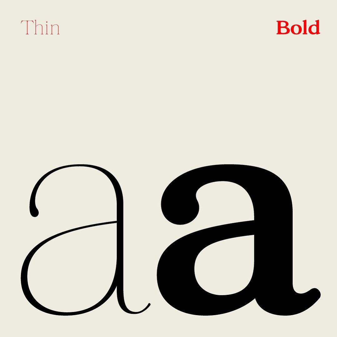 Stylish Thin ↔️ Friendly Bold 🔀 Always Timeless. 
Terrain fron Element Type 👀