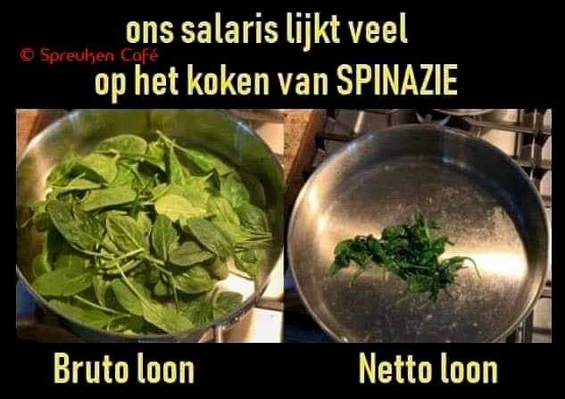 miranda jansen tweet media