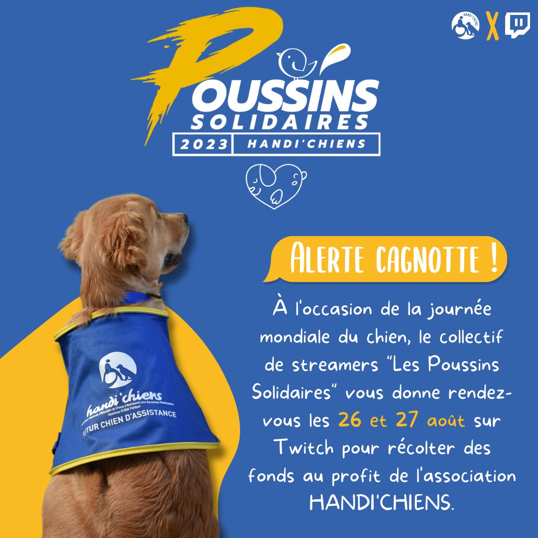 handichienscom's tweet photo. Alerte cagnotte ! 

Vous voulez y participer ? On se retrouve alors samedi à 10h sur la chaine Twitch >> https://t.co/W0m4QAWxIV 👾 pour lancer le top départ de ce super week-end ! Vous pourrez par la suite choisir de regarder le Live du streamer que vous souhaitez 🔥 https://t.co/V1FdRW2tj1