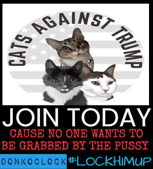 DonkConnects โป๏ธโข (@donkoclock) on Twitter photo Taco Tuesday ๐ฎ
#BRICS
<a href="/Orangeblobaloo/">Orangeblobaloo</a>
<a href="/YouWreckMe/">๐บ๐ธ Vote Blue AF ๐๐ฐ๐๐ผ๐</a>
<a href="/Julie_0608x/">Julie ๐๐บ๐ธ</a>
@AbsolutelyJucy
<a href="/Lizzy1433/">Liz Hair ๐ฆ
๐บ๐ธ</a>
<a href="/madukes529/">MaDukes ๐บ๐ธ๐</a>
<a href="/Sherri317/">Sherri ๐ #OurAmerica</a>
<a href="/hurdtech/">Denise Hurd</a>
<a href="/VP/">Vice President JD Vance</a>
<a href="/dlige72/">๐ฌ4EVRCALIGIRL๐งโโ๏ธ</a>
<a href="/meloy_jodi/">Stevie Nicks Fan Girl ๐ง๐๐บ๐ธ๐บ๐ฆ๐</a>
<a href="/harding_lady/">TheMadScotsWidow ๐ค๐ณ๏ธโ๐๐ณ๏ธโโง๏ธ๐ต๐ธ๐ป</a>
@ladyartlover
<a href="/irishgirlgrace/">Grace</a>
@Not_a_Muskateer
<a href="/Scott2519733801/">Darkwing</a>
<a href="/realident/">A Realident (Reality Show Idiot) not a president!</a>
<a href="/jrlucier39/">Richard Lucier</a>
<a href="/navywife53sco/">coffin.sharon</a>
<a href="/Fallenbronze/">SaBeet Fallenbronze๐ฆ๐๐ฆ</a> Taco Tuesday ๐ฎ
#BRICS
<a href="/Orangeblobaloo/">Orangeblobaloo</a>
<a href="/YouWreckMe/">๐บ๐ธ Vote Blue AF ๐๐ฐ๐๐ผ๐</a>
<a href="/Julie_0608x/">Julie ๐๐บ๐ธ</a>
@AbsolutelyJucy
<a href="/Lizzy1433/">Liz Hair ๐ฆ
๐บ๐ธ</a>
<a href="/madukes529/">MaDukes ๐บ๐ธ๐</a>
<a href="/Sherri317/">Sherri ๐ #OurAmerica</a>
<a href="/hurdtech/">Denise Hurd</a>
<a href="/VP/">Vice President JD Vance</a>
<a href="/dlige72/">๐ฌ4EVRCALIGIRL๐งโโ๏ธ</a>
<a href="/meloy_jodi/">Stevie Nicks Fan Girl ๐ง๐๐บ๐ธ๐บ๐ฆ๐</a>
<a href="/harding_lady/">TheMadScotsWidow ๐ค๐ณ๏ธโ๐๐ณ๏ธโโง๏ธ๐ต๐ธ๐ป</a>
@ladyartlover
<a href="/irishgirlgrace/">Grace</a>
@Not_a_Muskateer
<a href="/Scott2519733801/">Darkwing</a>
<a href="/realident/">A Realident (Reality Show Idiot) not a president!</a>
<a href="/jrlucier39/">Richard Lucier</a>
<a href="/navywife53sco/">coffin.sharon</a>
<a href="/Fallenbronze/">SaBeet Fallenbronze๐ฆ๐๐ฆ</a>