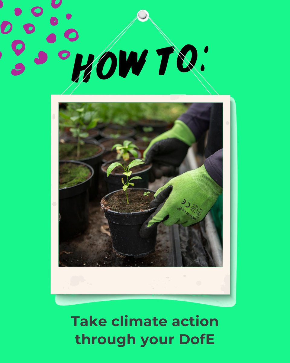 DofE Central England (@dofecentral) on Twitter photo If the latest #NavigatingNow podcast has inspired you, then there are lots of ways to build a DofE programme around tackling climate change. 
buff.ly/44eM4q5 If the latest #NavigatingNow podcast has inspired you, then there are lots of ways to build a DofE programme around tackling climate change. 
buff.ly/44eM4q5