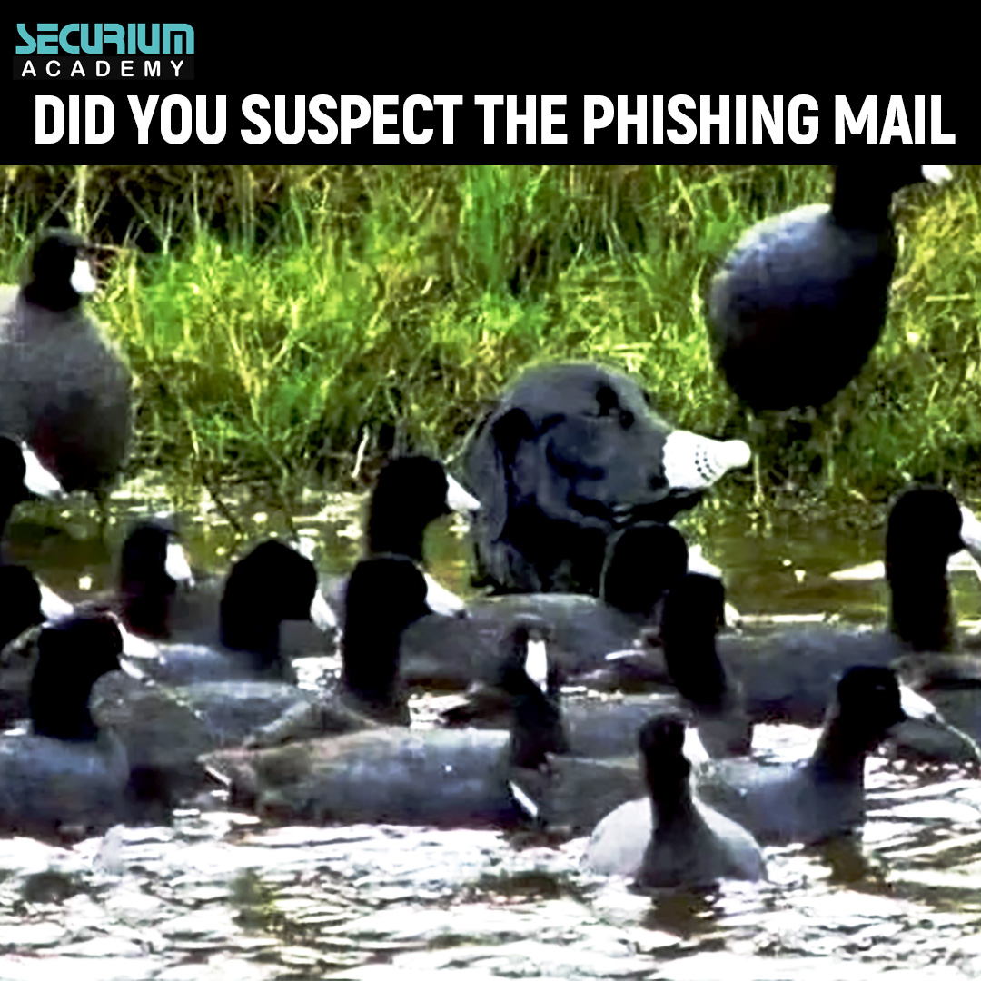 Ever had doubts about a suspicious email? Stay ahead of phishing attempts with these tips. Be vigilant online! 🛡️📧 

#phishingmail #phishing #malware #cpafirm #cpa #cybersecurity #ransomware #cybersecuritytraining #securityawareness #phishingemail #itsicherheit #virus #datatheft