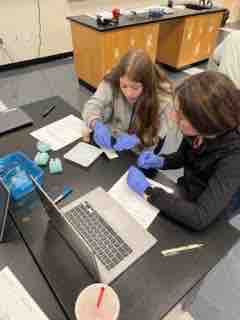 vancecharter's tweet image. PLTW Principles of Biomedical Science performing presumptive and confirmatory test on blood samples from crime scene!