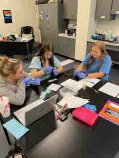 vancecharter's tweet image. PLTW Principles of Biomedical Science performing presumptive and confirmatory test on blood samples from crime scene!