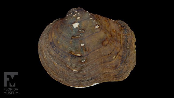 USFWS NCTC tweet media