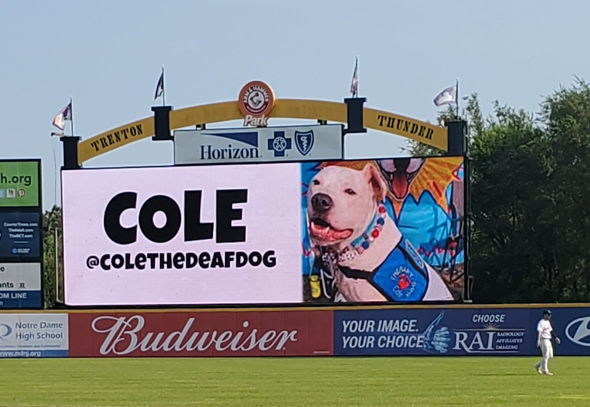 Rookie (@batdogrookie) on Twitter photo We had such a great time on Sunday with <a href="/TrentonThunder/">Trenton Thunder⚡</a> Bark at the Park, plus our special guest <a href="/ColeDeaf/">Cole the Deaf Dog & Chris Hannah</a> was a huge hit with the fans. I'm so glad that Dash and I have this great new fren. We had such a great time on Sunday with <a href="/TrentonThunder/">Trenton Thunder⚡</a> Bark at the Park, plus our special guest <a href="/ColeDeaf/">Cole the Deaf Dog & Chris Hannah</a> was a huge hit with the fans. I'm so glad that Dash and I have this great new fren.