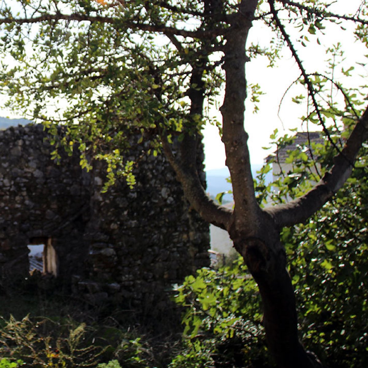 𝑶𝒍𝒗𝒊𝒅𝒂𝒓 𝒑𝒂𝒓𝒂 𝒔𝒊𝒆𝒎𝒑𝒓𝒆 𝒆𝒍 𝒓𝒆𝒍𝒐𝒋,
𝒄𝒂𝒎𝒊𝒏𝒂𝒏𝒅𝒐 𝒉𝒂𝒄𝒊𝒂 𝒆𝒍 𝒂𝒕𝒂𝒓𝒅𝒆𝒄𝒆𝒓,
𝒄𝒐𝒎𝒐 𝒖𝒏 𝒏𝒊𝒏̃𝒐 𝒋𝒖𝒈𝒂𝒏𝒅𝒐 𝒐𝒕𝒓𝒂 𝒗𝒆𝒛,
𝒔𝒊𝒏 𝒑𝒂𝒓𝒂 𝒅𝒆 𝒄𝒐𝒓𝒓𝒆𝒓.

(📌 Benaocaz, y foto de  📸 Cádiz Turismo)
#DescubreLosPueblosBlancos