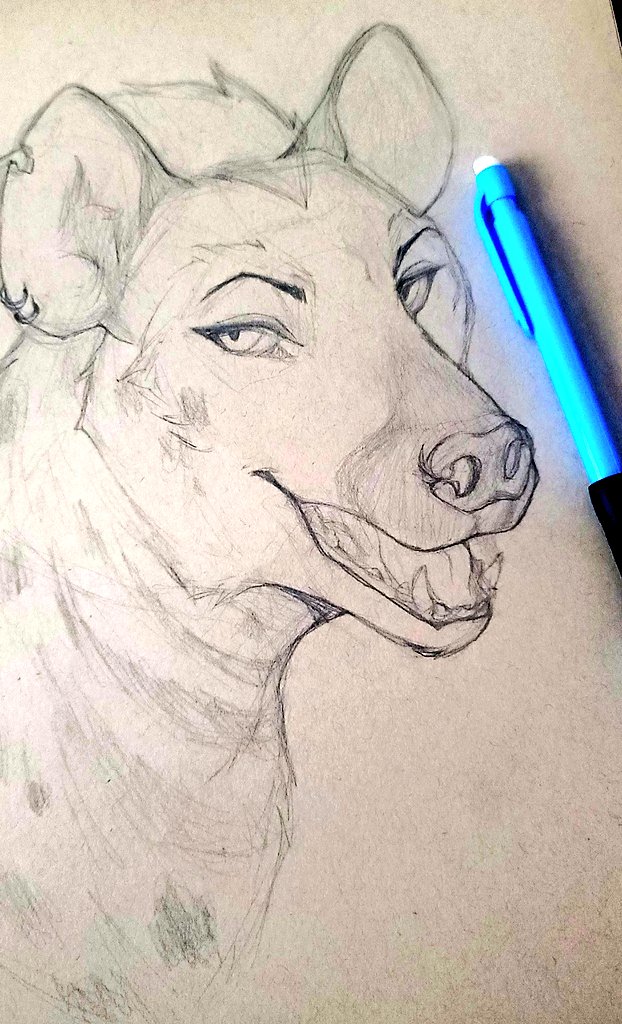 Lunchtime hyena sketch