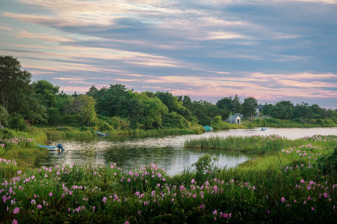 A quiet summer evening on Slough Cove - look at all the colors, oh my!
--
Edgartown Great Pond, Martha's Vineyard
August, 2023
•
•
•
•
• 
#gotta_love_the_vineyard #fujifilm #xt3  #MyFujifilmLegacy #marthasvineyard #edgartown #katama #naturestyles_gf @mvtweets @mvpics