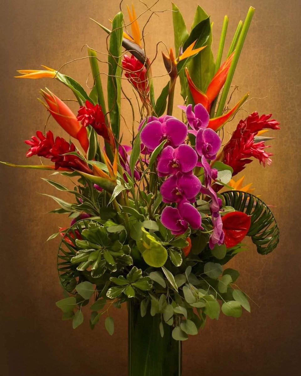 Who doesn't love a vibrant tropical arrangement?

#orchids #birdsofparadise #ginger #flowersofinstagram #flowers #flowerstagram #flowerarrangement #florist #flowershop #orchid #flower #houstonflorist #houston #houstontexas #houstontx #texasflorist #texas