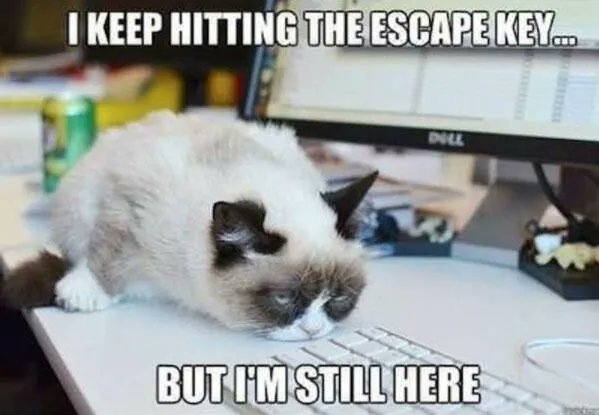 WardComputers's tweet photo. May your work bring you joy today and not a desire to Escape. Happy #TechJokeTuesday from your Trusted Technology Partners at Ward Computers. https://t.co/GpGugxlBXQ