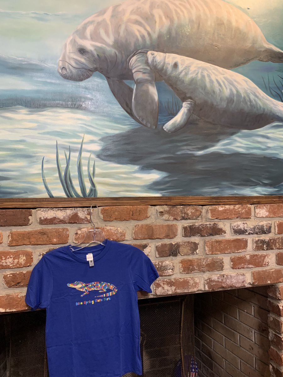 Blue Spring Adventures tweet media