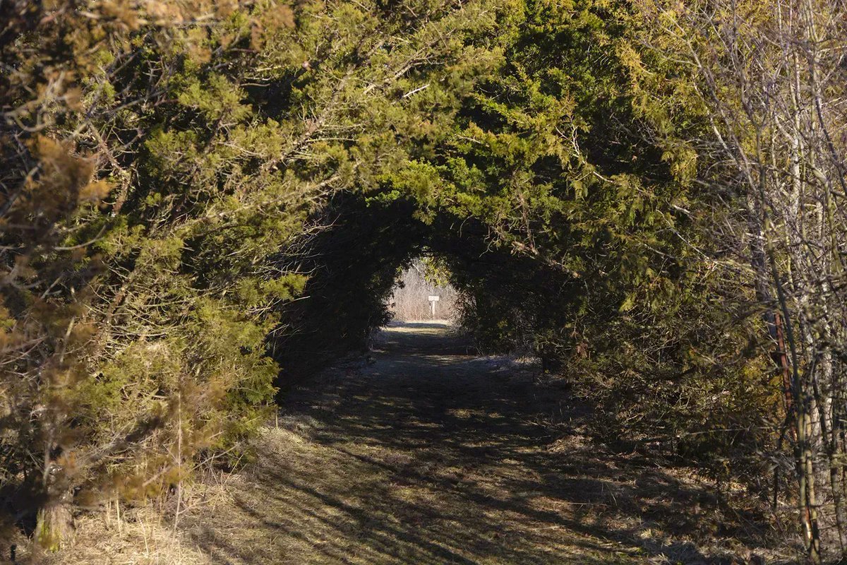 VisitIndiana's tweet image. Get Out &amp;amp; Explore Nature at This East Central Indiana Forest Preserve 😍 

𝐑𝐄𝐀𝐃 𝐌𝐎𝐑𝐄: bit.ly/3nvcuB1 

#Outdoors #INIndiana @fortheland_RLC @ForgeECI